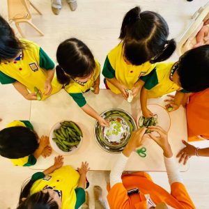 無農薬有機栽培野菜